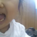 금련사유치원 이미지