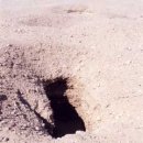 [고대역사 - 이집트] 피라밋의 발전 - 02 (Prehistoric pit grave) 이미지