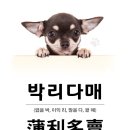 기분좋은안경 이미지