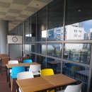 마이도그(My Dog) 이미지