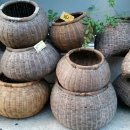 신유한의원 이미지