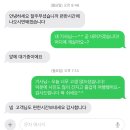 제주도 뚜벅이 여행 택시 투어 제주아일랜드투어 후기