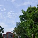 강나루캠핑야영장 이미지