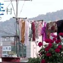 ‘다큐3일’, 강남보다 더 살아보고 싶은 서울 속 시골 산새마을 이미지