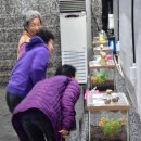 김종규 농장 이미지