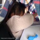 심플 | 심플룸 텐트 후기 (20개월 아기 사용 기준) 설치·사이즈·단점 정리