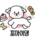 포마이댕 이미지