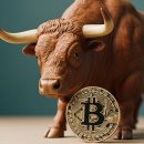 여명카써비스 이미지