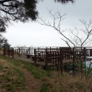 달성보 녹색길 이미지