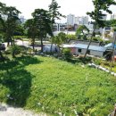 초당동-3 이미지