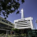 서울특별시송파구치매안심센터 이미지