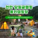 충남 천안 당일글램핑 추천 신축 바베큐 아이랑 몽키캠핑장 후기