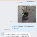 그린브리스 이미지