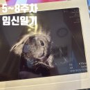동래구 보건소 | 임신 5주차-8주차 :: 아기집 확인, 심장소리확인, 임신확인증 발급 및 동래구 보건소 임산부등록