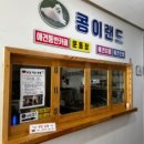 콩이랜드 이미지