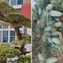 대전여자고등학교 이미지