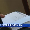 알앤엘메디칼 이미지