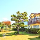 솔라티펜션 이미지