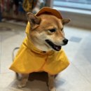 타임레스토랑 이미지