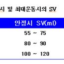 ﻿[﻿스포츠심장] 일회박출량(Stroke Volume, SV)의 증가 이미지