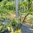 예곡농장 이미지