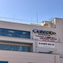 수원애견카페 _ 영통애견카페 ‘ 보고싶당개 ’ 방문 후기