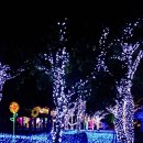 거북공원 이미지