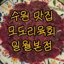육회한판 | &lt;수원 일월맛집&gt; 모도리 육회, 신선함 가득한 모도리한판 먹고 감동한 후기!