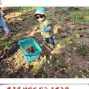 이안농장 이미지