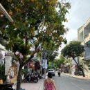 하당세탁소 이미지