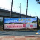 행정용 21 이미지