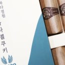 바다정원;바다정원애견