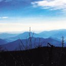 천서목장 이미지