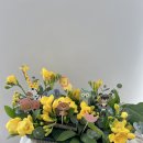 동중농장 이미지