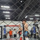 피보이 엠엠에이 이미지