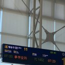 남목시티프라자헬스 | ✈️ 후쿠오카 1박2일 여행 1일차 코스 (하카타 먹방, 모츠나베, 돈키호테 쇼핑)
