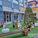 리틀히어로ZOO | * 양산 아이들과 가기 좋은 ::리틀히어로ZOO:: 방문 후기 -