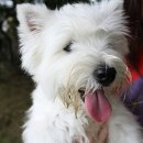 안녕하세요 이미지