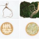 호산한의원 | 지친 현대인을 위한 자연주의 한의원 이야기