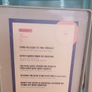 안녕아가 | 일산 백석동 안녕아가 애견카페 간단 후기