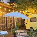 프린세스 애견 이미지