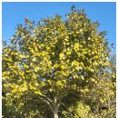 수일 농장 이미지