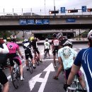 남지고가교 이미지