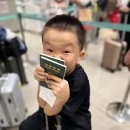 스쿠트항공 TR897 타고 대만 타이베이로 ✈️