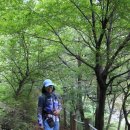 수정4동체육공원 티스토리