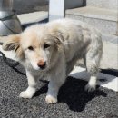 남사파출소 이미지