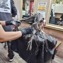 샴푸보이 이미지