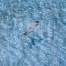 희드라 | (희드라이브) 운전연수 후기를 곁들인 요즘 일상