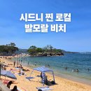 아이요트민박 | 시드니 모스만 발모랄 비치 후기 관광객 적은 로컬 해변, 시드니 반나절 코스 추천(시드니 여행 숙박...