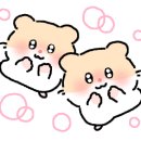 안경메카 렌즈아이